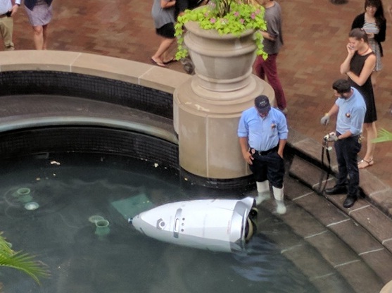 Робот охранник